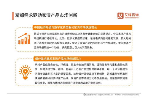 2024年中國家清產(chǎn)品消費(fèi)趨勢(shì)洞察與知識(shí)產(chǎn)權(quán)保護(hù)